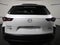 2025 Mazda Mazda CX-50 2.5 S Select Package